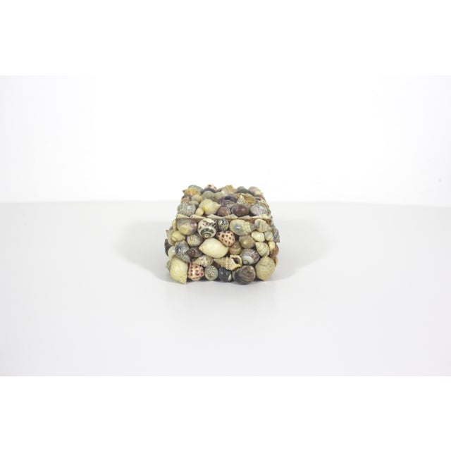 Vintage Snail Shell Encrusted Box For Sale - Image 4 of 11