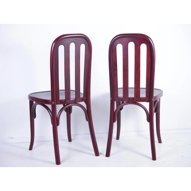 Set of Antique Chairs by Josef Hoffmann for Jacob & Josef Kohn For Sale - Image 4 of 18