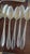 1930s Vintage Silverplate Lady Hamilton Silver Flatware Set, Art Deco, C1932 Oneida Rare - 44 pcs For Sale - Image 5 of 13