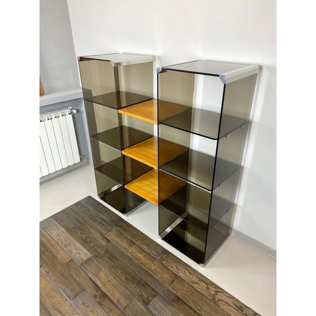 Chrome, Smoked Glass & Wood Bookshelf Étagère by Gallotti & Radice, Italy, 1970s For Sale - Image 3 of 15