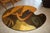 Mid-Century Modern Mid-Century Modern Artist’s Palette Coffee Table With Abstract Geometric Wood Design For Sale - Image 3 of 5