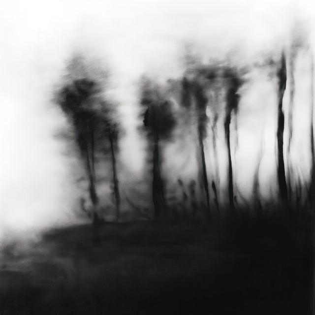 Abstract 20" X 20" 'Blurred Landscape' #5 Framed Original Black and White Photography For Sale - Image 3 of 6