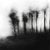 Abstract 'Blurred Landscape' #5 Framed Original Black and White Photography For Sale - Image 3 of 6
