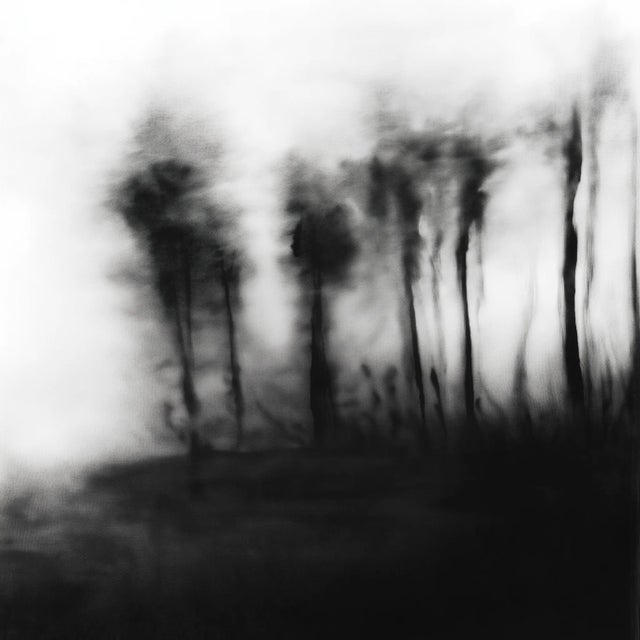 Abstract Blurred Landscape No. 5 Framed Original Black and White Photography For Sale - Image 3 of 7