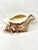 Vintage Shell Cachepot For Sale - Image 9 of 9