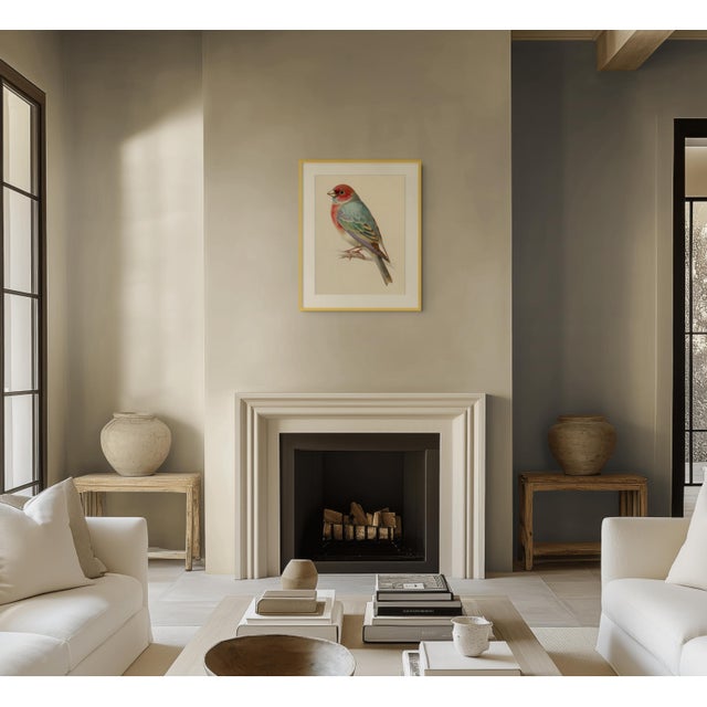 19th-Century Bird Illustrations — Fine Art Print Collection | Unframed For Sale - Image 11 of 17