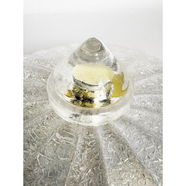 20th Century Glass Ceiling Light Fixture, France For Sale - Image 14 of 15