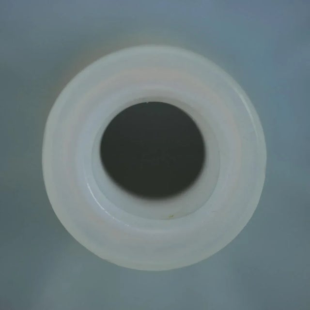 1920s 1920s Rene Lalique Opalescent Glass 'Malines' Vase For Sale - Image 5 of 9