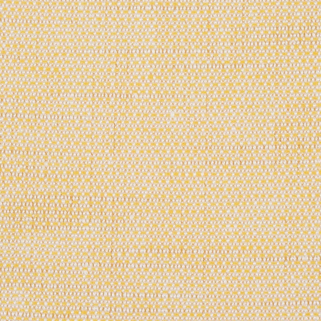 Sample - Schumacher Camarillo Weave Indoor/Outdoor Fabric in Yellow For Sale