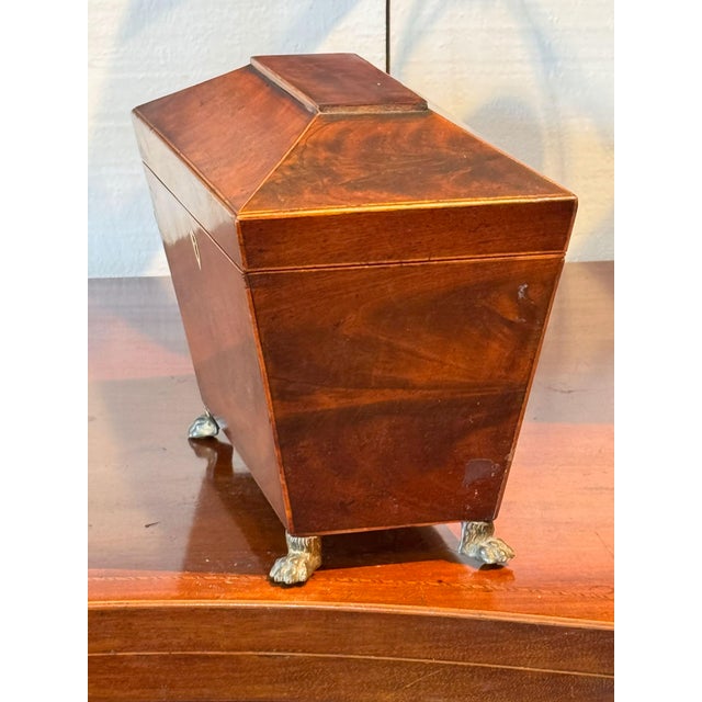 19th Century Sarcophagus Form Tea Caddy With Brass Paw Feet For Sale - Image 6 of 7