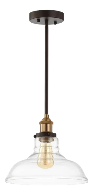 Minimal Pendant Light- Iron & Clear Glass