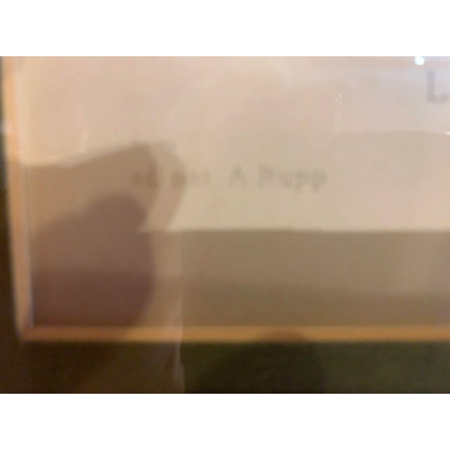 Late 19th Century Late 19th Century Eight Hand Colored Botanical Prints, Framed - Set of 2 For Sale - Image 5 of 7