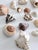 Vintage Collected Seashell Collection For Sale - Image 13 of 17
