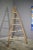 Fir & Beech Wood Ladder For Sale - Image 3 of 14