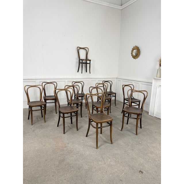 Bistro Chairs from Thonet, 1920, Set of 12 For Sale - Image 3 of 9