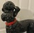 This adorable Hollywood Regency era poodle is Italian and dates to the 60s. He is in very good condition. It is a male and...