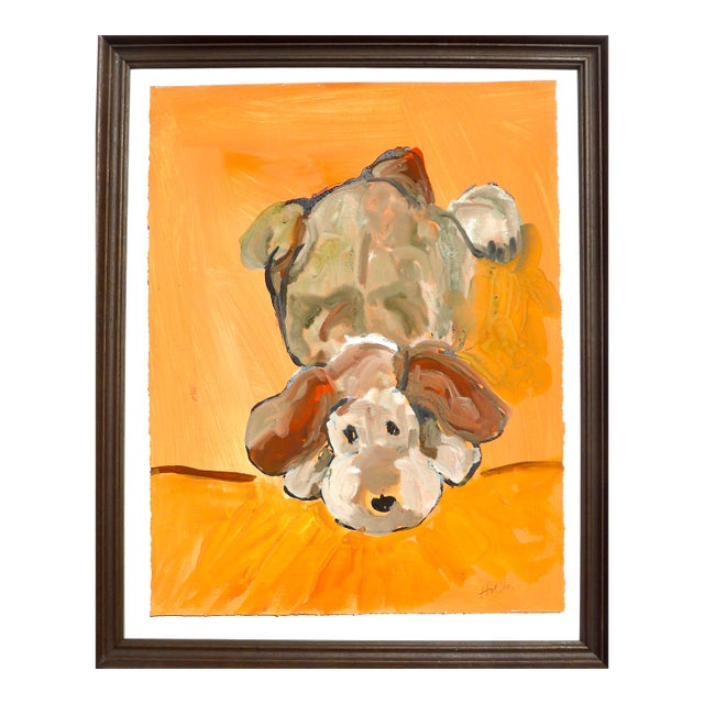 Little Puppy For Sale