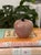 Vintage Pink Marble Apple Form Paper Weight For Sale - Image 6 of 8