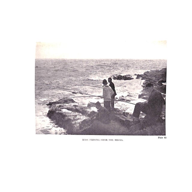 Traditional "Sea Fishing Vol Xvii" Book 1934 Cooper, A.E. For Sale - Image 3 of 8