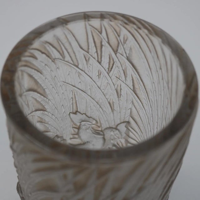 1920s Rene Lalique Glass 'Coqs Et Plumes' Vase For Sale - Image 11 of 13