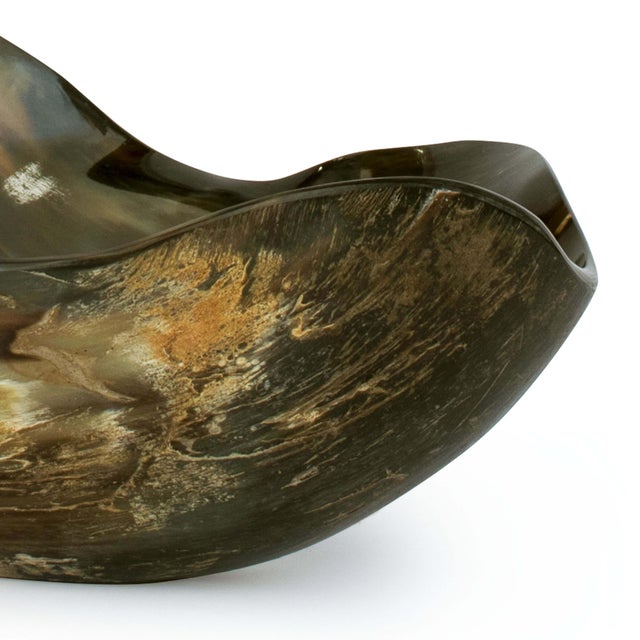 Crafted of natural horn with a smooth, contoured form, this decorative bowl creates an intricate, fresh design that...