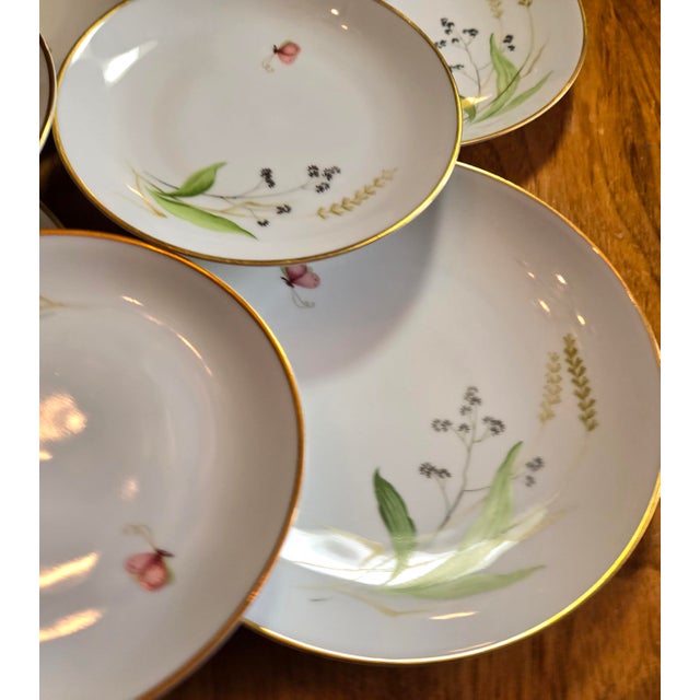 Gold Rimmed Wildflower Plates- Set of 12 For Sale - Image 9 of 10