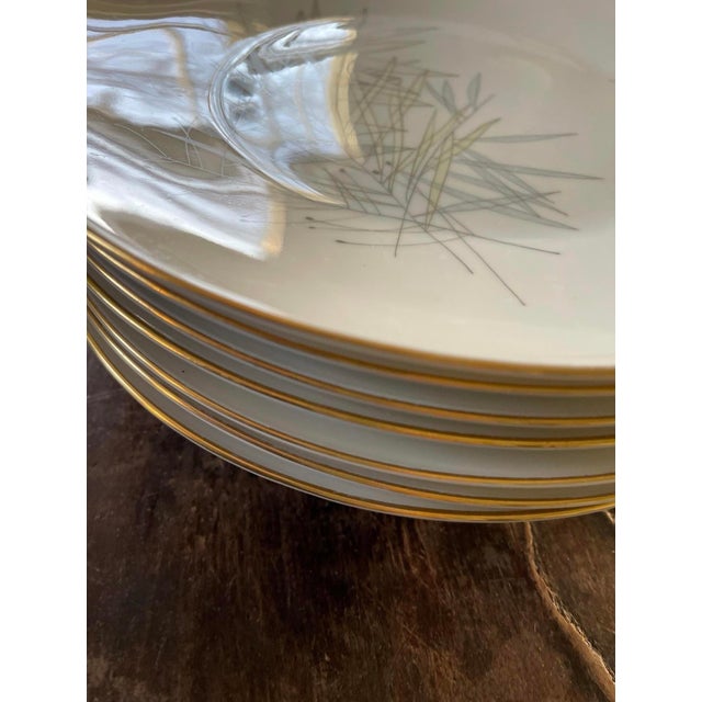 Mid 20th Century Vintage Mid-Century Modern Rosenthal 9.75” Plates in Loewry Grasses Pattern - Set of Seven (7) For Sale - Image 5 of 11