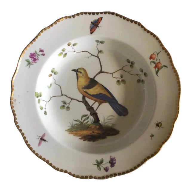 Antique 19th Century Meissen Porcelain Soup Bowl with Decoration of a Bird with Butterfly & Insects For Sale