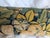16th Century 16th Century Antique Brussels Verdure Tapestry Pillow For Sale - Image 5 of 7