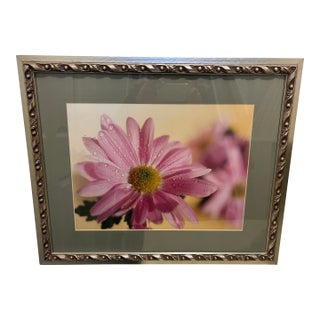 Pink Gerbera Daisy Print Reproduction For Sale