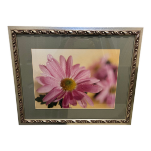 Pink Gerbera Daisy Print Reproduction
