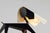 Metal French Dog Lamp by Jean Boris Lacroix for Disderot, 1950 For Sale - Image 7 of 18