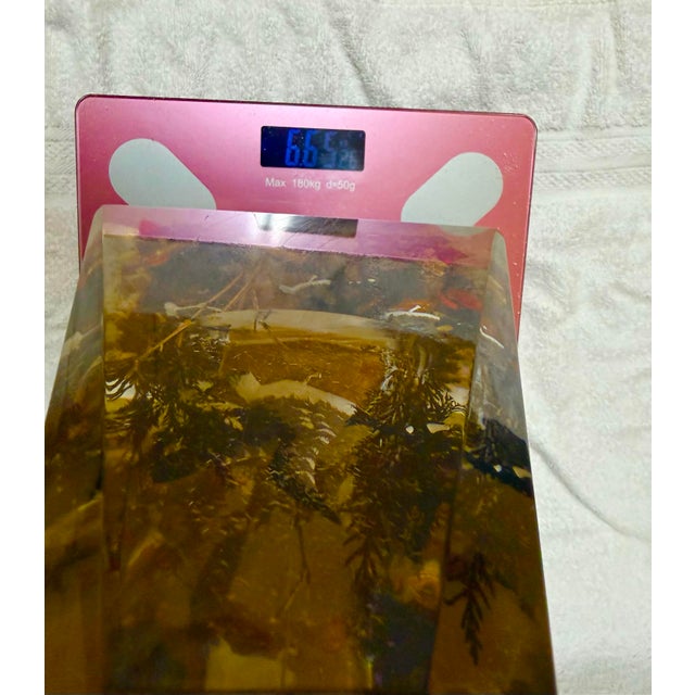 Vintage 1970s Lucite 3D wildlife obelisk paperweight sculpture. Features detailed embedded wildlife scenes inside clear...
