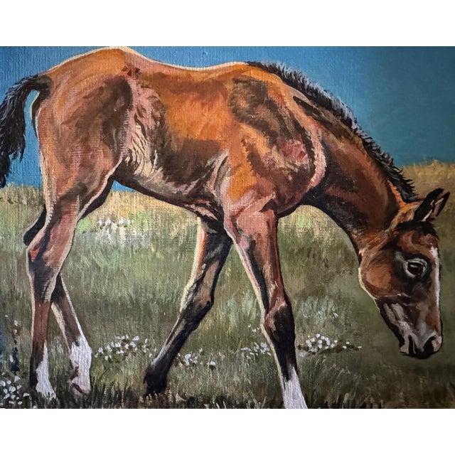 "Qué Curiosa" This inquisitive filly is exploring her new pasture, looking sweet grass and treats. Willie Britt Willie...