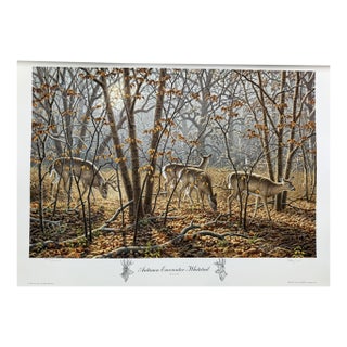1990s Autumn Encounter - Whitetail Deer by Larry Zach ~ Le Signed Numbered Print For Sale