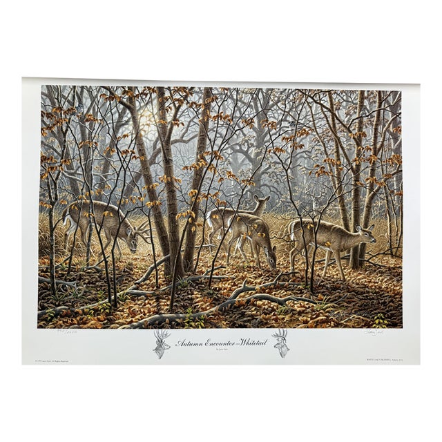 1990s Autumn Encounter - Whitetail Deer by Larry Zach ~ Le Signed Numbered Print For Sale