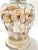 Off-white 1980s Coastal Glass Table Lamp Filled With Natural Seashells For Sale - Image 8 of 10