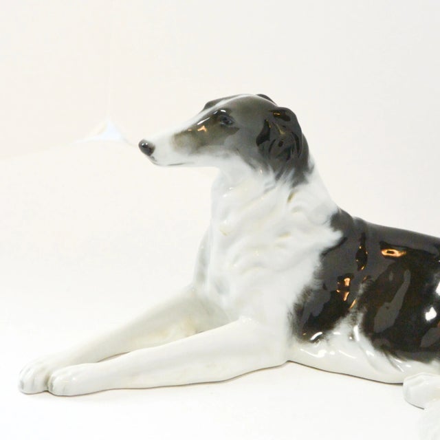 Rosenthal Vintage Rosenthal Bavaria Porcelain Borzoi Figurine by Fritz Heidenreich – Large Reclining Russian Wolfhound, C. 1940s For Sale - Image 4 of 9