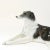 Rosenthal Vintage Rosenthal Bavaria Porcelain Borzoi Figurine by Fritz Heidenreich – Large Reclining Russian Wolfhound, C. 1940s For Sale - Image 4 of 9