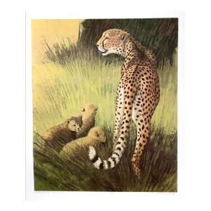 1970s "Cheetah Family Masai Mara" Lithograph by Caroline Schultz