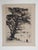 Vintage mid 20th century etching on tan paper mountain landscape with juniper tree. Unsigned. Unframed, displayed in mat...