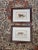Pair of Antique Color Lithographs of Wild Cats For Sale - Image 10 of 10