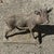 Mid 20th Century Vintage French Standing Deer Small 19" Cement Concrete Stone Garden Statue For Sale - Image 5 of 16