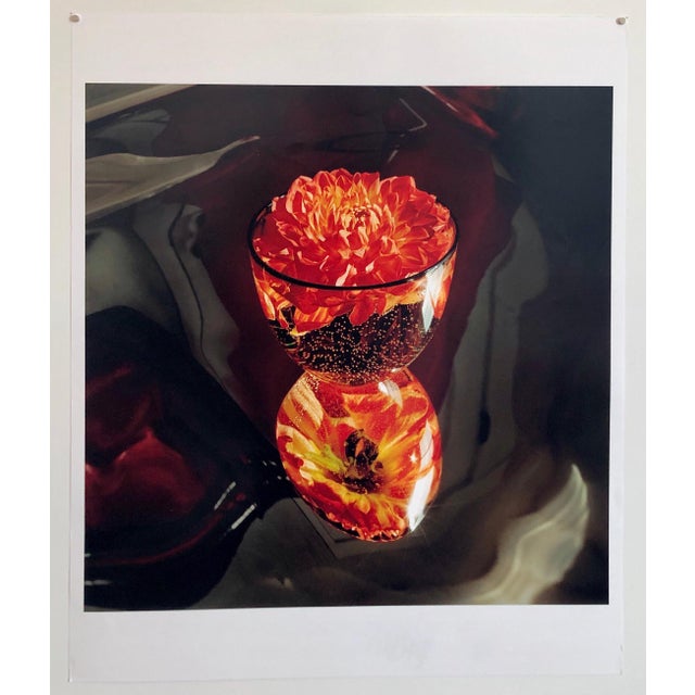 2000 - 2009 Peter C. Jones 1, Floating, Flowers, Large Format Photo 24X20 Color Photograph Beach House, 2004 For Sale - Image 5 of 5