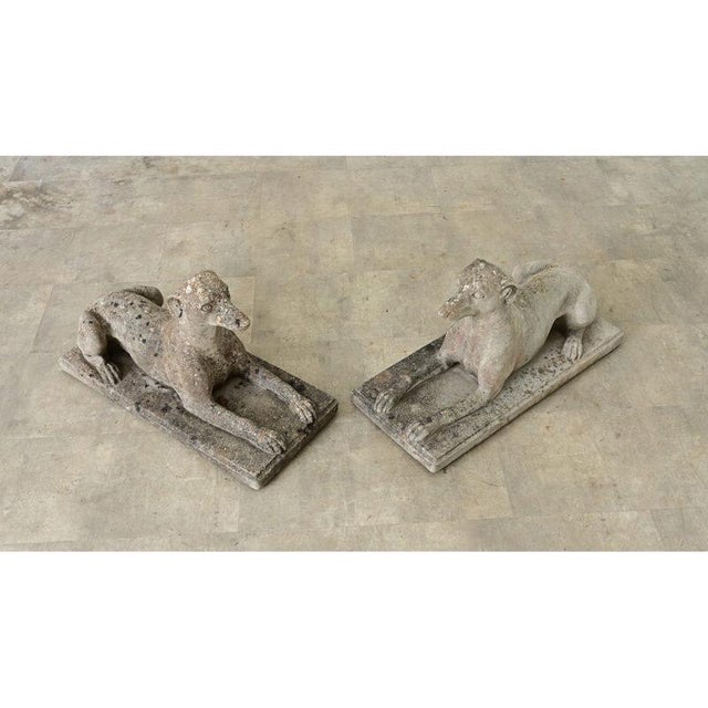 Gray Early 20th Century English Pair of Cast Stone Whippet Garden Statues For Sale - Image 8 of 10