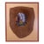 Mid-Century Oil on Tanned Hide Portrait Painting of a Native American Chief For Sale