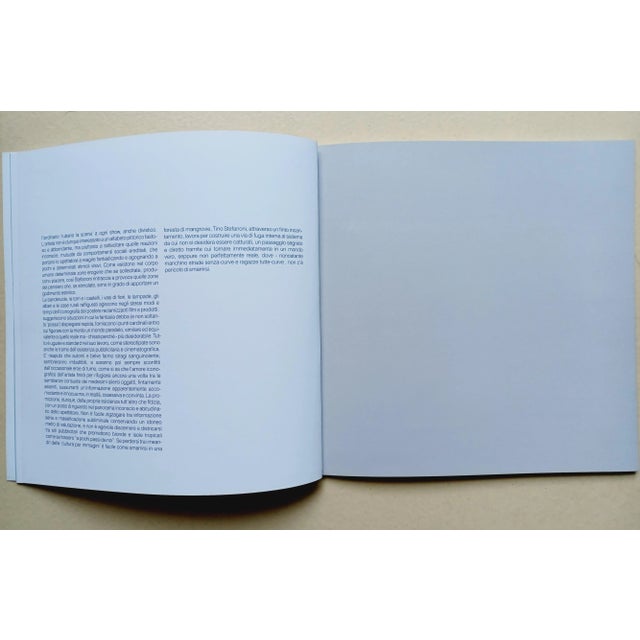 Palma e amaca, 1999 Tino Stefanoni For Sale - Image 6 of 10