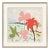 Coastal Framed Art Print by Dana Gibson For Sale