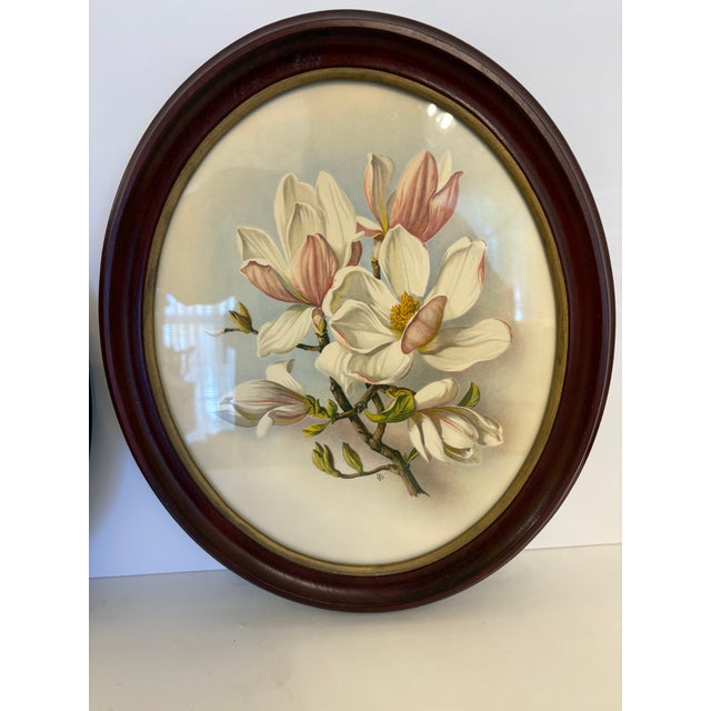 The height of these IB Fischer magnolia prints are 14" and the wideth is 12" with the depth at 1"and they were reproduced...