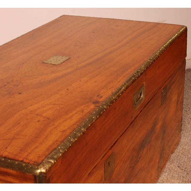 19th Century Marine Chest in Camphor Wood For Sale - Image 9 of 13